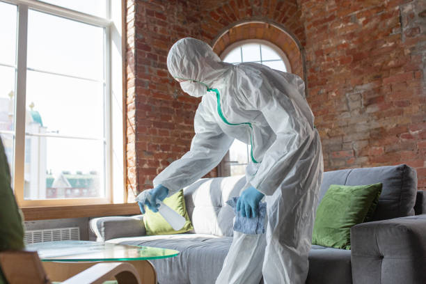 Best Biohazard Mold Removal  in Rankin, PA